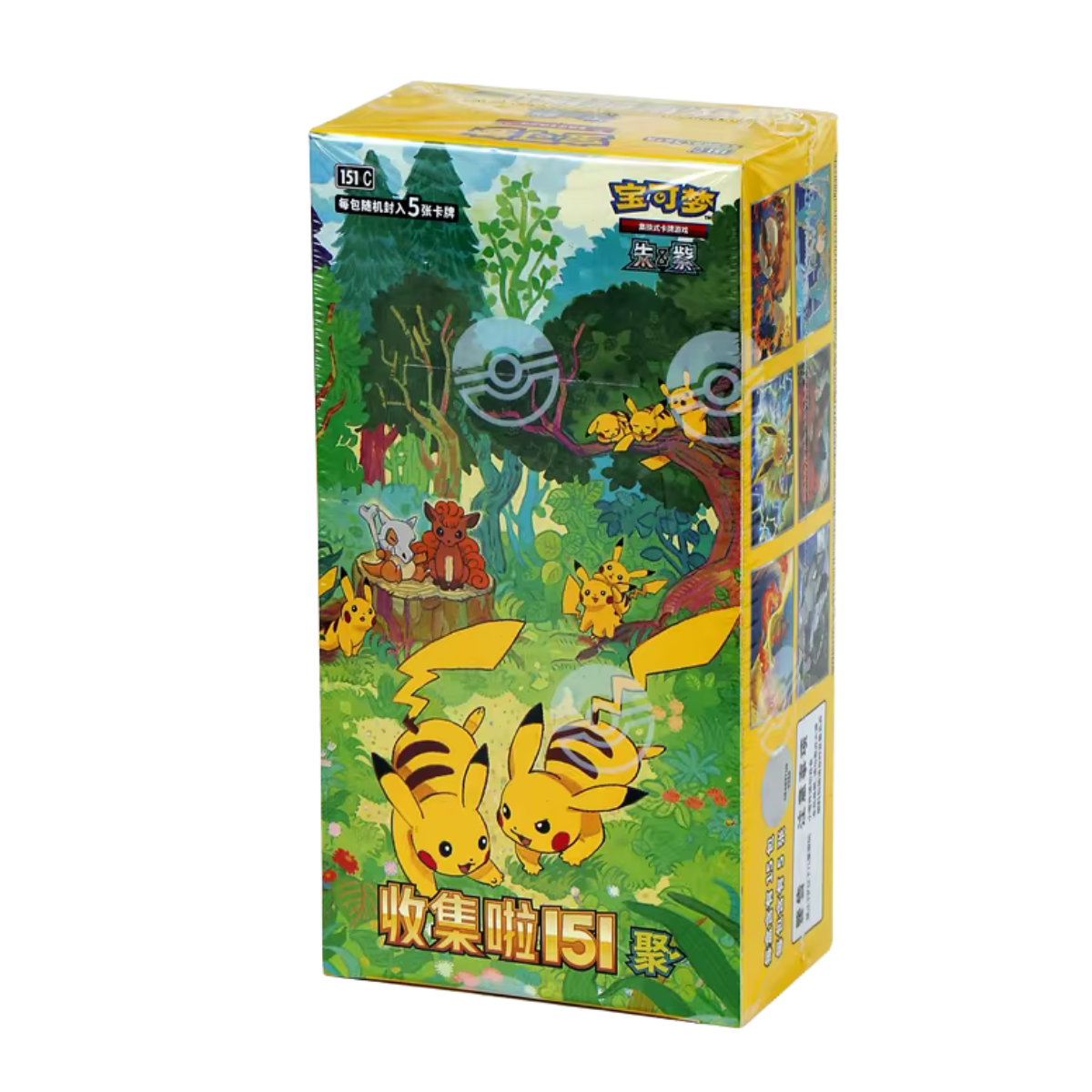 Pokémon – Slim-Display „Collect 151 Gathering (151)“ (S-CHN)